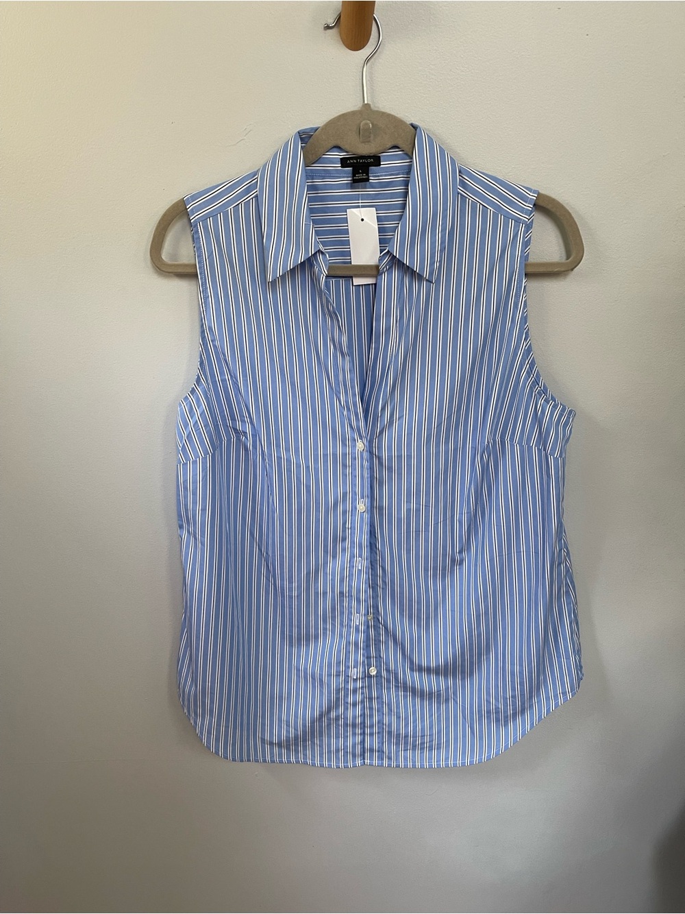 Ann Taylor Blue and White Striped Sleeveless Button-Down Shirt - Picture 1 of 3